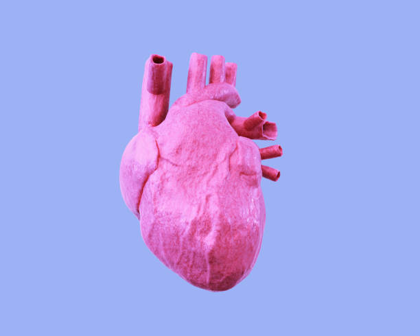 istock Pink human heart isolated on a blue background. 3d illustration 1270088019