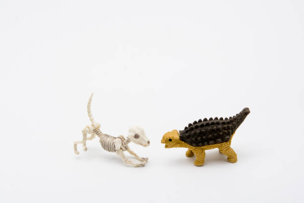 istock Skeleton dog and Ankylosaurus 1270090127