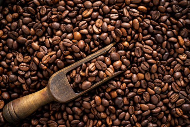 istock Roasted Coffee beans and wooden scoop on wood rustic background 1270093477