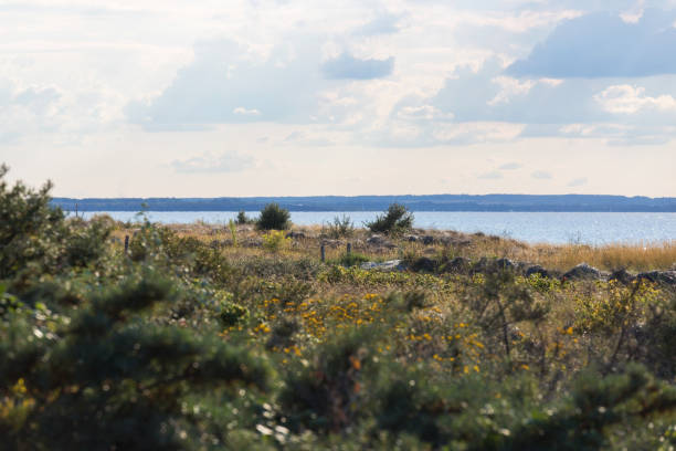 istock German Baltic Sea natural beach 1270094967