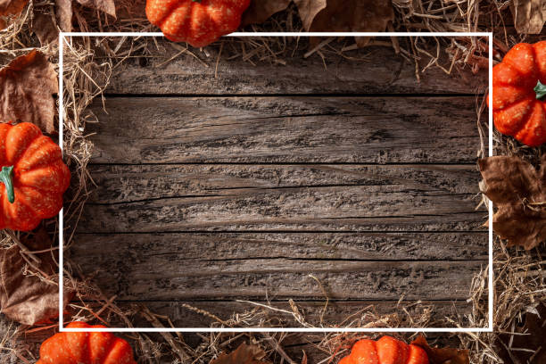 istock Autumn background with leaves and pumpkins 1270098042