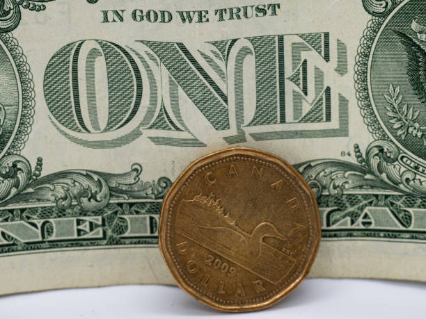 en kanadensisk dollar bredvid en en dollarsedel - endollarsmynt kanadensiskt mynt bildbanksfoton och bilder
