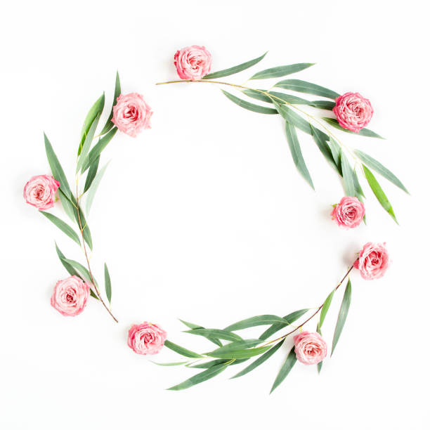 istock Round wreath frame eucalyptus populus branches and rose flowers isolated on white background. Flat lay, top view 1270100179
