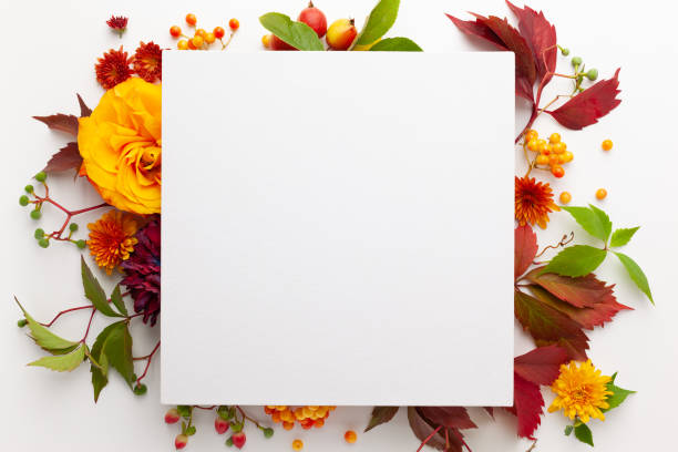 istock Autumn composition with flowers, leaves and berries 1270103146