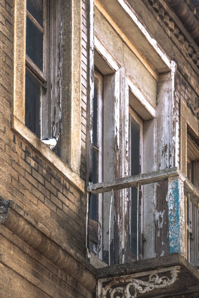 istock Pigeon standing by the windowsill, rustic doors and balcony. 1270104003