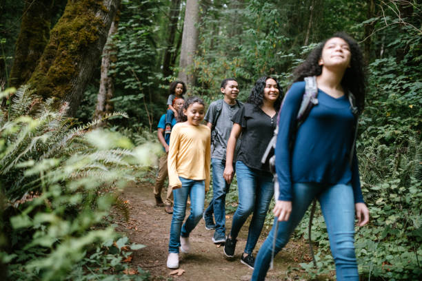 istock Family Enjoying Hike On Forest Trail in Pacific Northwest 1270104237