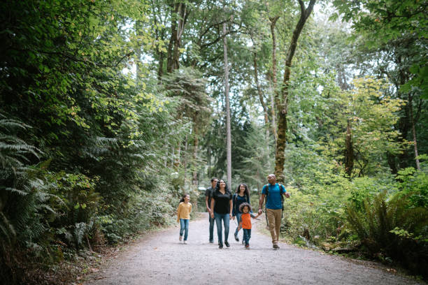família desfrutando de caminhada em trilha florestal no noroeste do pacífico - grande angular - fotografias e filmes do acervo