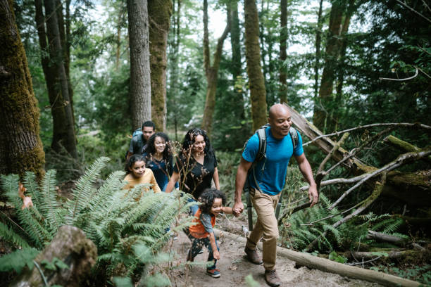 familia disfrutando de caminata en el sendero forestal en el noroeste del pacífico - northwest frontier fotografías e imágenes de stock