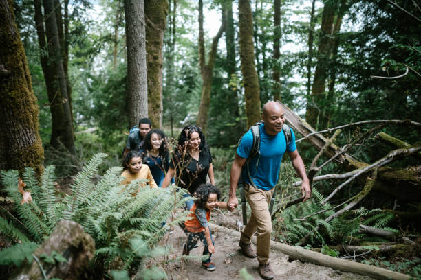 Family Enjoying Hike On Forest Trail in Pacific Northwest