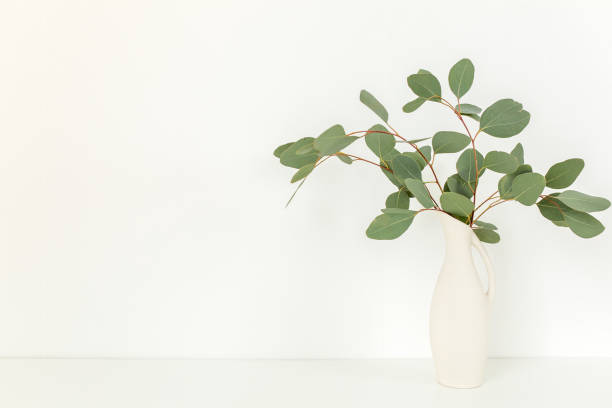 istock Branches of eucalyptus populus in vase on table on light background. Home decor. Blog, website or social media concept 1270104399