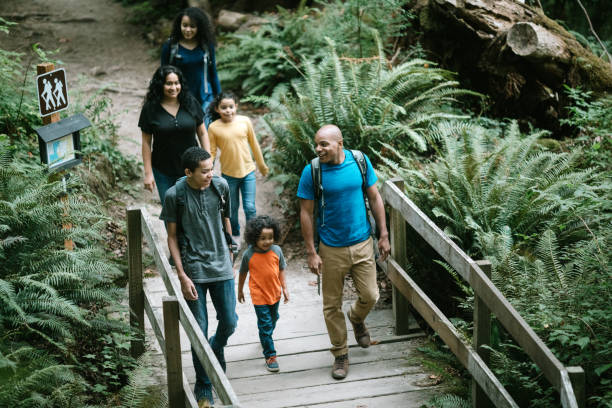istock Family Enjoying Hike On Forest Trail in Pacific Northwest 1270104638