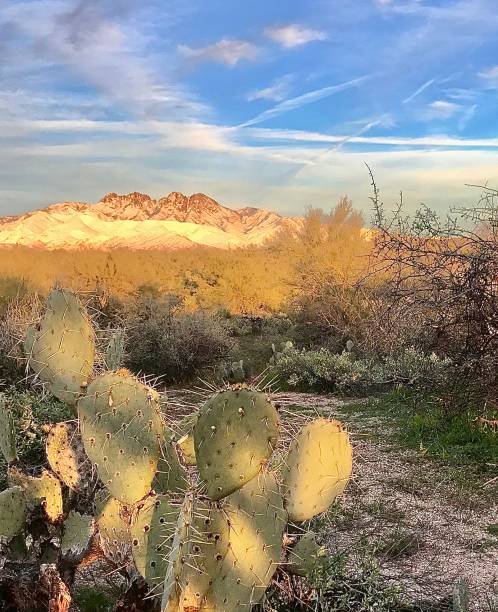 istock Four Peaks with snow Arizona 1270106776