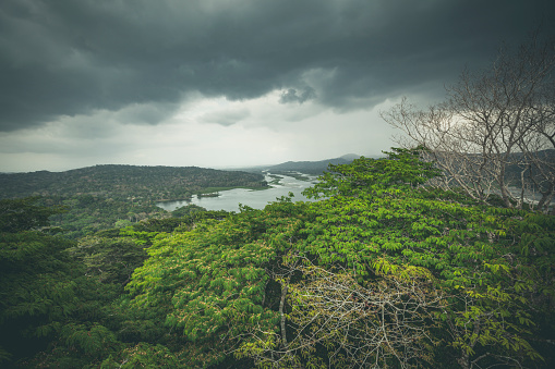 Green Mountains in Rain and Mist