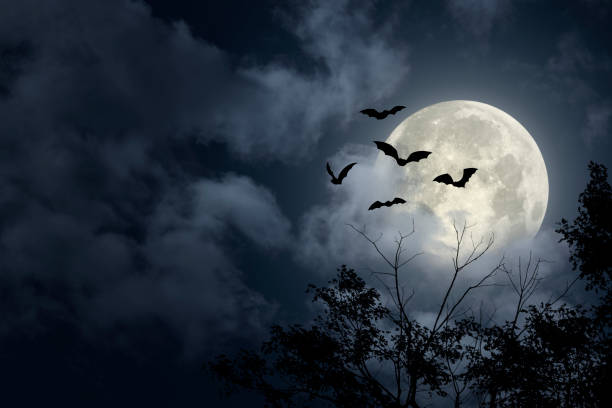 Spooky Halloween Sky Dramatic Halloween sky with full moon, bats and trees silhouette horror stock pictures, royalty-free photos & images