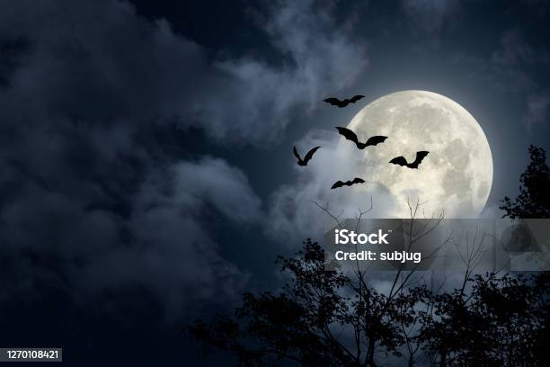 Spooky Halloween Sky Stock Photo - Download Image Now - Halloween, Backgrounds, Spooky