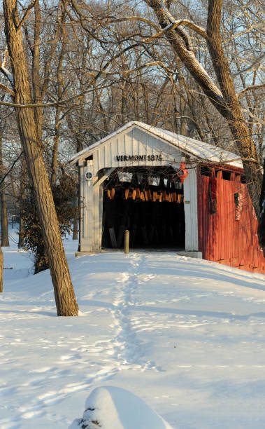 istock Covered bridge in the snow-Howard County Indiana 1270112118