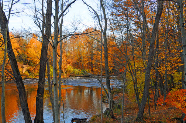 istock Beautiful Salmon River-Upstate New York 1270112139
