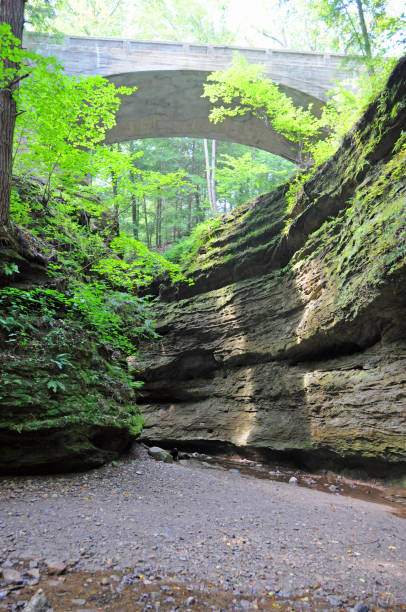 istock Limestone Canyon with bridge-Turkey Run Indiana 1270112907