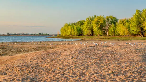 Photo of late summer morning on a beach in Boyd Lake State Park, a popular boating and recreation destination in northern Colorado