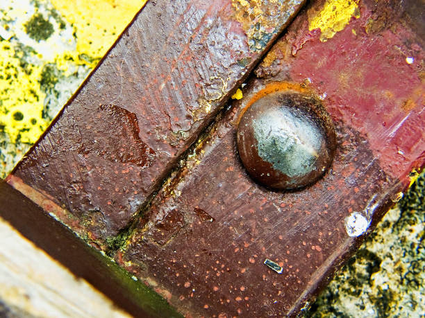 istock Rivet head on a bench in a public park 1270114832