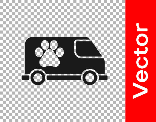 czarna ikona pogotowia weterynaryjnego wyizolowana na przezroczystym tle. symbol kliniki weterynaryjnej. wektor - veterinary medicine flash stock illustrations