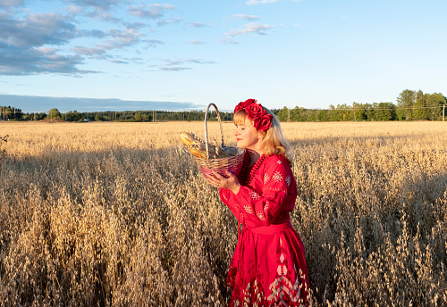 Girl on the oat field. Holds a wicker basket of fresh bread, smiles and sniffs the bread. In a red dress and a wreath on her head. Sunset.