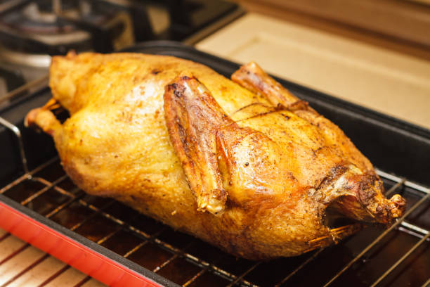 istock Oven-roasted duck in a deep pan with grill rack, prepared meal for holiday dinner, selective focus 1270118746
