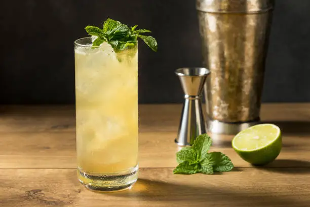 Refreshing Mint GinGin Mule Cocktail with LIme and Ginger Beer