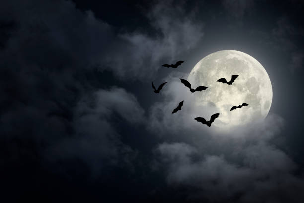 Spooky Halloween Sky Dramatic Halloween sky with full moon and bats silhouette full moon photos stock pictures, royalty-free photos & images