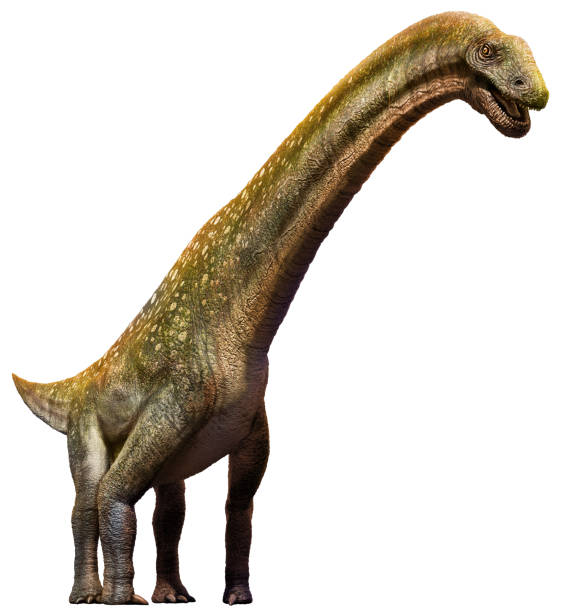 istock Titanosaurus from the Cretaceous era 3D illustration 1270125965