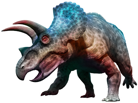 Triceratops dinosaur charging 3D illustration