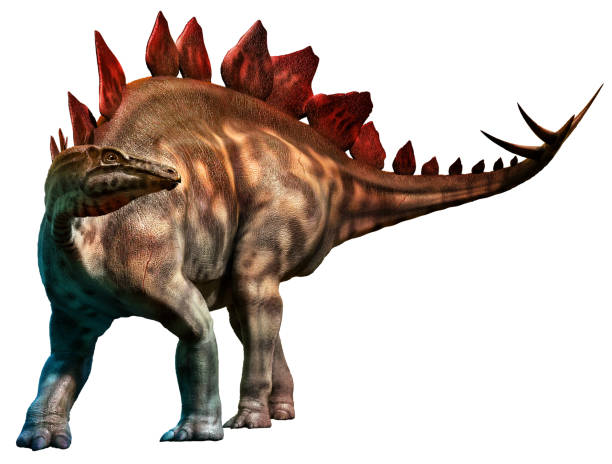 stegosaurus dell'illustrazione 3d dell'era giurassica - stegosauro foto e immagini stock