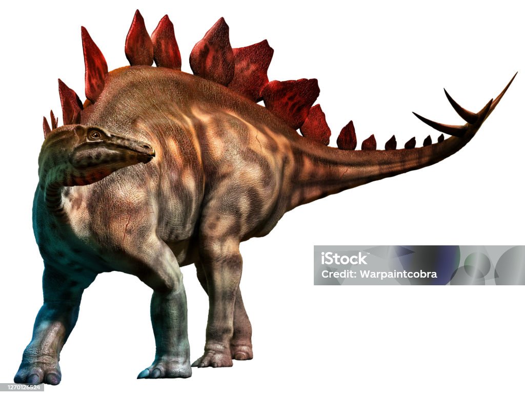 Stegosaurus from the Jurassic era 3D illustration Stegosaurus Stock Photo
