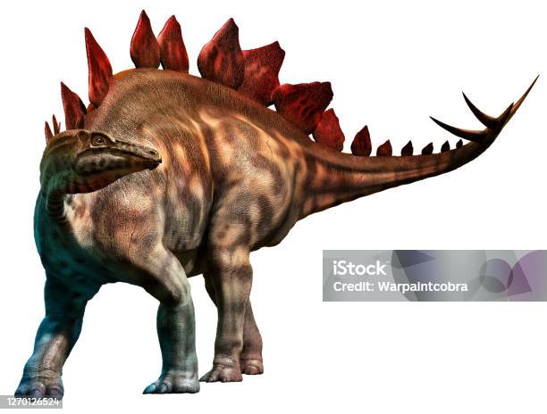 Stegosaurus From The Jurassic Era 3d Illustration Stock Photo - Download Image Now - Stegosaurus, Blood, Color Image