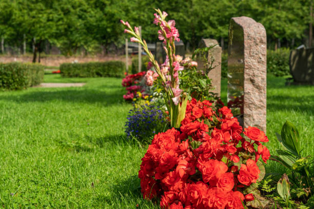 istock Row of graves with colorful flowers 1270127104