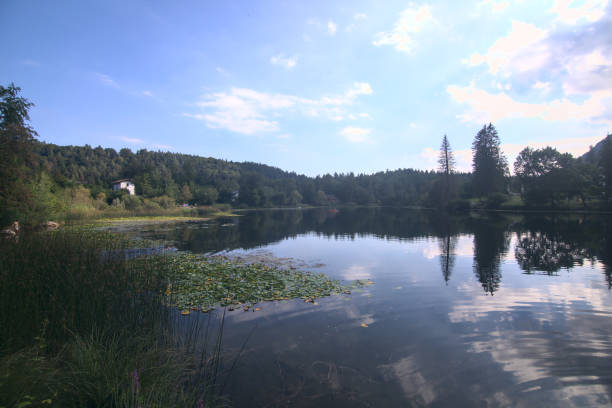 istock Mountain lake with trees and lily pads in the background 1270129274