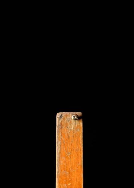istock Wooden board with a screw on black background. carpentry concept 1270130225