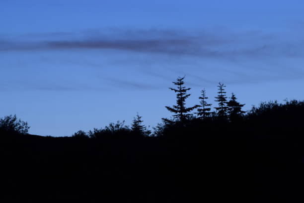 istock Silhouetted Trees And Landscape During Cloudy Dawn 1270133553