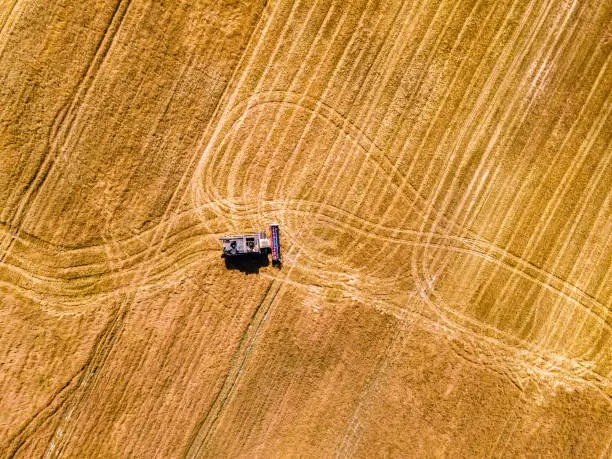 Photo of Harvesting season. Aerial shot