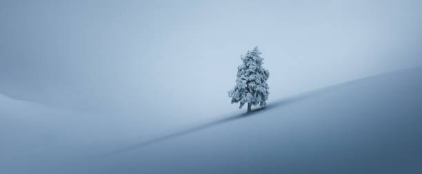 istock Beautiful Winter Landscape 1270144001