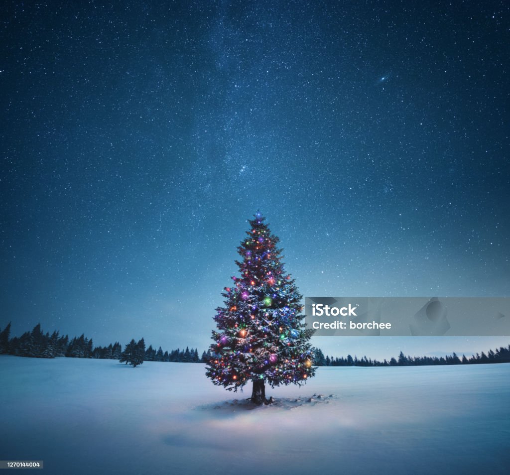 Árbol de Navidad - Foto de stock de Navidad libre de derechos