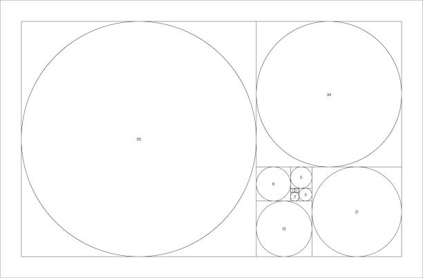 fibonacci-sequenz von kreisen. golden ratio geometrisches konzept. vektor-illustration - phi stock-grafiken, -clipart, -cartoons und -symbole