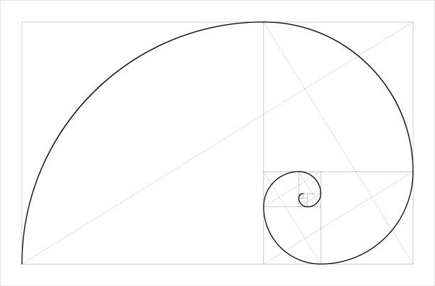 геометрическое понятие золотого соотношения. фибоначчи спираль. векторная иллюстрация. - black gold abstract spiral stock illustrations