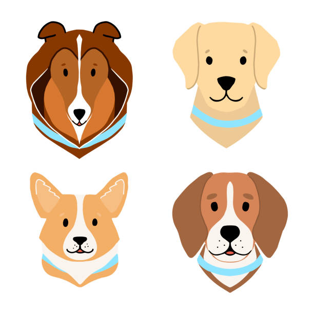 przyjazne psy rasy zestaw vector ilustracja - human face dog symbol animal stock illustrations
