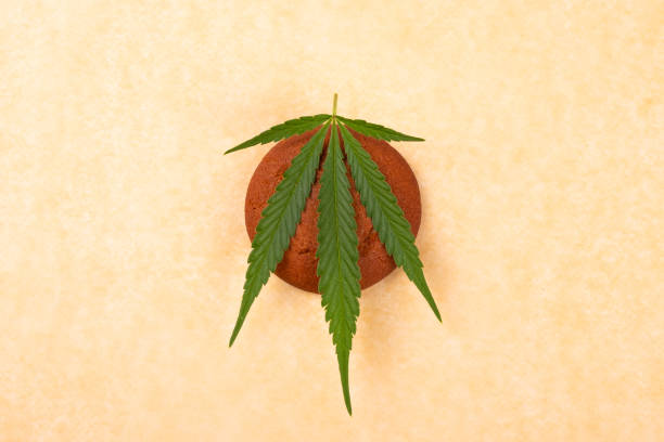 cannabis cookies,green leaf marijuana and sweets food.