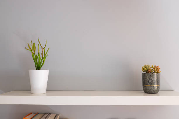 Modern Floating Bookshelf Displaying Two Succulent House Plants