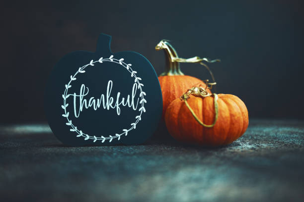 istock Thanksgiving background with pumpkins and thankful sign 1270150539