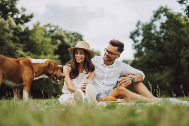 istock Two people in meadow, playing with dog. 1270150582