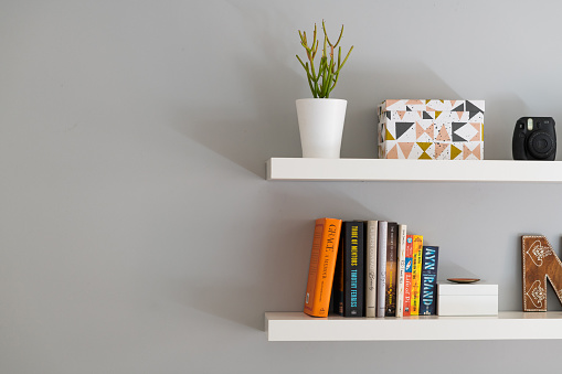 A section of two white painted modern bookshelves with books, a plant and a decorative storage box.