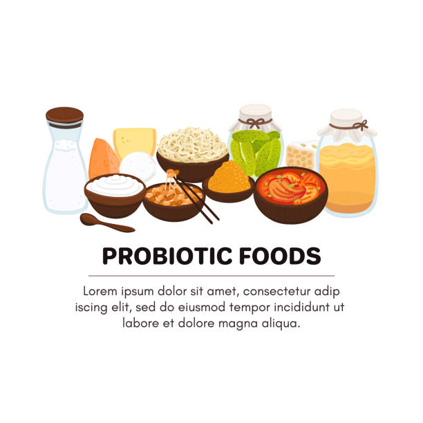 Vector probiotic foods. Best sources of probiotics. Beneficial bacteria improve health. Design is for label, brochure Vector probiotic foods. Best sources of probiotics. Beneficial bacteria improve health. Design is for label, brochure, menu, poster, advertising banner, article about diets, healthy proper nutrition kombucha jar stock illustrations